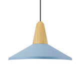 Adjustable Aluminum Pendant Light - Modern Macaron Design 10/14 Inch Width Single Head Living Room