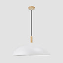 Modern Saucer-Shaped Pendant Lamp For Restaurants And Hotels - 1-Light Aluminum In