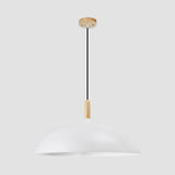Modern Saucer-Shaped Pendant Lamp For Restaurants And Hotels - 1-Light Aluminum In