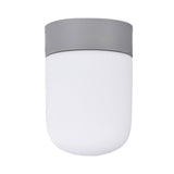 Modernist Metal & Frosted Glass Flush Mount Light - Pink/Gray Ceiling Lighting