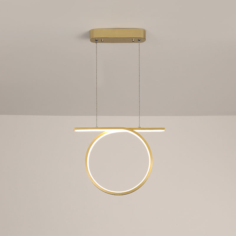 Simplicity Led Gold Hanging Lamp Kit With Warm/White Light / White