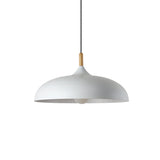Modern Led Macaron Color Ceiling Pendant Light With Wood Lamp Socket White / 18