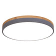 Minimalistic Flush Mount Ceiling Light - 1 Acrylic Disk Design Grey / 16’ Warm