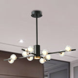Modern Metal Chandelier Light Fixture - Radial Design 6/10/15 Lights Black With Clear Glass Bubble