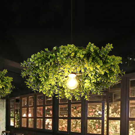 Modern Metal Black Ceiling Light With Exposed Bulb - Retro Led Suspension Lighting Fixture Plant