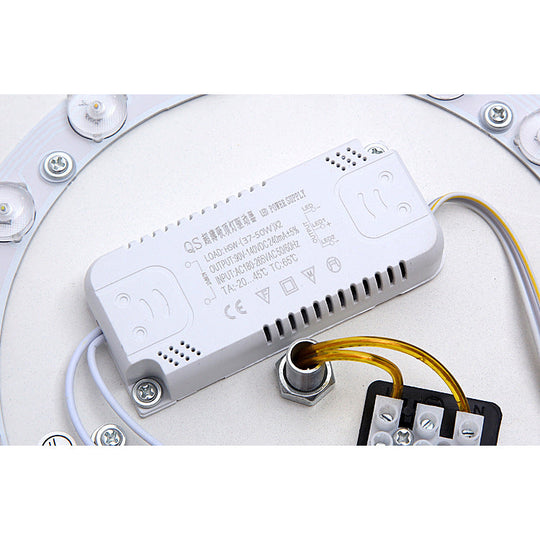 Giraffe Themed Acrylic Flush Ceiling Light For Kid’s Bedroom