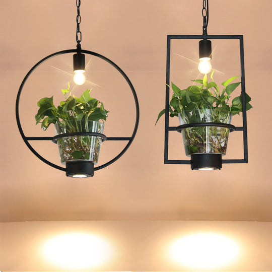 Black Industrial Iron Pendant With Clear Glass Plant Pot: 1 Light Down Lighting Cage Design