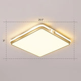 Contemporary Gold Finish Led Flush Mount Ceiling Light - Acrylic Rectangle Design / 20.5’ Warm