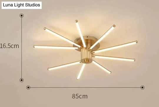 Contemporary Simple Creative Living Room Led Revolving Fireworks Ceiling Golden 9 Warm Light
