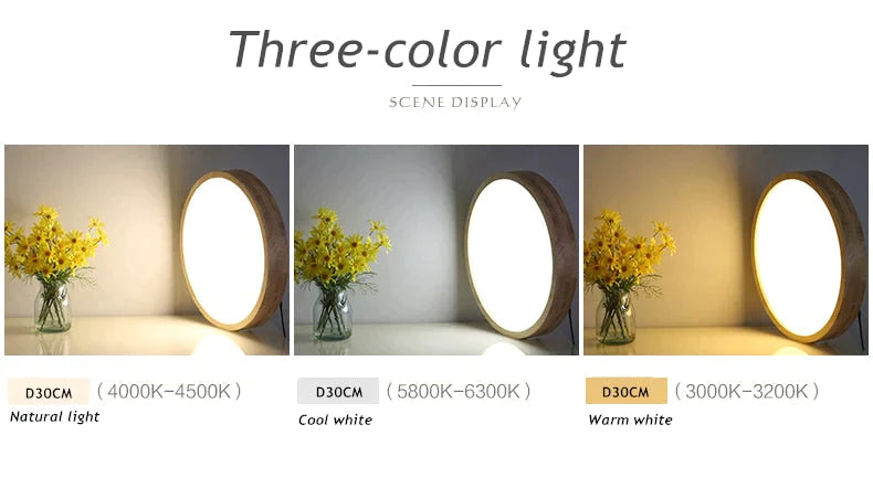 Helena- Led Ceiling Light Modern Lamp Panel Living Room Round Lighting Fixture Remote Control