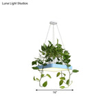 Led Chandelier Light Fixture With Acrylic Shade - Antiqued Style For Dining Room Black/White/Blue