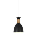 Macaron Dining Room Suspended Light Fixture With Metal And Wood Accents Green