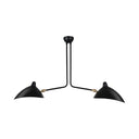 Metal Duckbill Hanging Lamp Post Modern 2/3/5 Lights Black Living Room Chandelier Light 2 / A