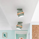 Nordic Metal 1 - Light Flush Mount Ceiling Lamp With Pivot Joint - Wood Finish And Color Options