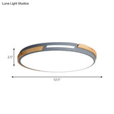 Nordic Style Led Ceiling Light Fixture Acrylic Gray/Green Flush Mount For Living Room And Bedroom -