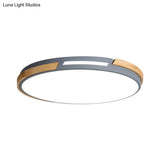 Nordic Style Led Ceiling Light Fixture Acrylic Gray/Green Flush Mount For Living Room And Bedroom -