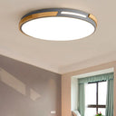 Nordic Style Led Ceiling Light Fixture Acrylic Gray/Green Flush Mount For Living Room And Bedroom -