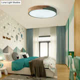 Nordic Style Round Wood And Acrylic Ceiling Light Fixture Flush Mount Grey/White/Green