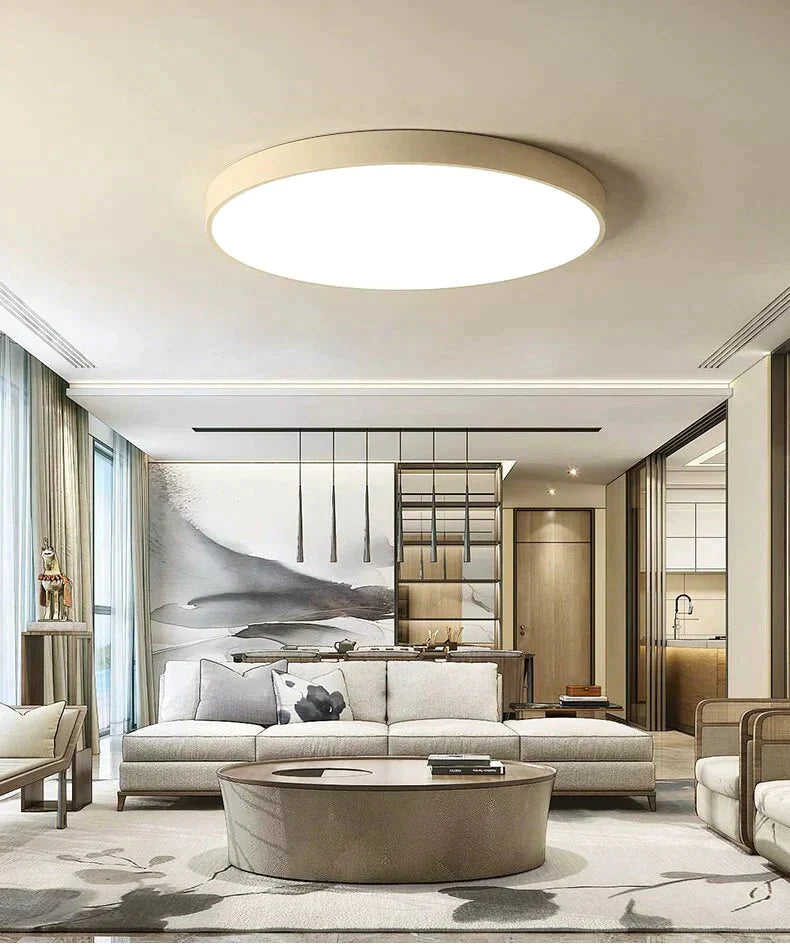 Metal Modern Led Ceiling Light Black&White Simple Chandelier Lamp For Living Room Bedroom Dining