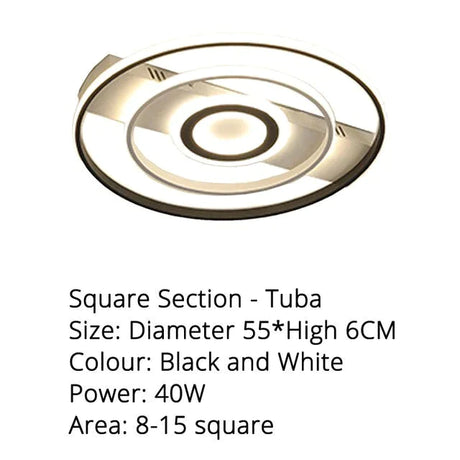 Modern Rectangle/Square/Circle Acrylic Led Ceiling Light White Color Black Remote Control For Living