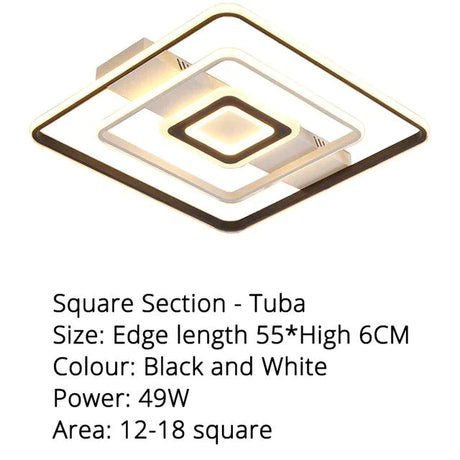 Modern Rectangle/Square/Circle Acrylic Led Ceiling Light White Color Black Remote Control For Living