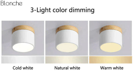 Nordic Ceiling Lights Modern Porch Aisle Corridor Led Lighting Fixtures