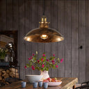 Wrought Iron Dome Industrial Ceiling Fixture Pendant Lighting - 12’/14’ Diameter 1 Light